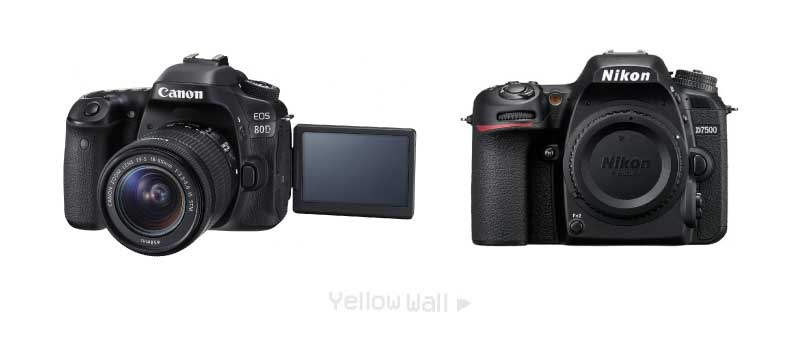 Canon 80D و Nikon D7500