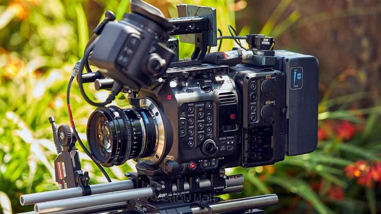 Canon C500