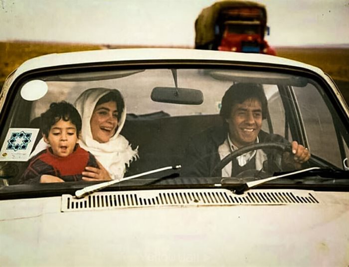 فیلم هامون