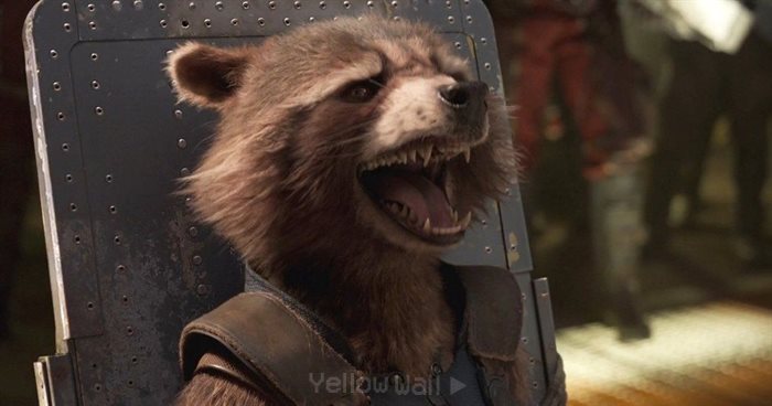 rocket laughing