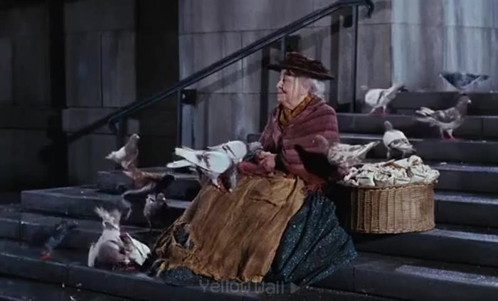 feed the birds scene