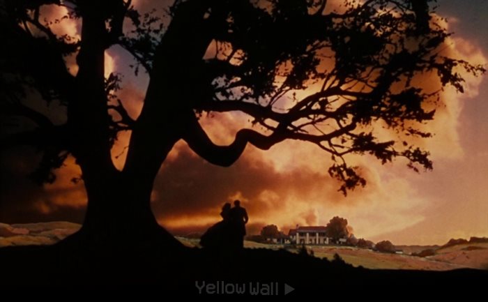 gone with the wind