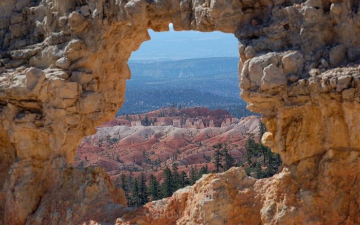 natural frames
