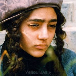 بررسی کارنامه داریوش مهرجویی: درخت گلابی