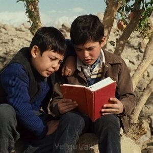 اقتباس سینمایی از رمان های مشهور: بادبادک باز ساخته مارک فورستر