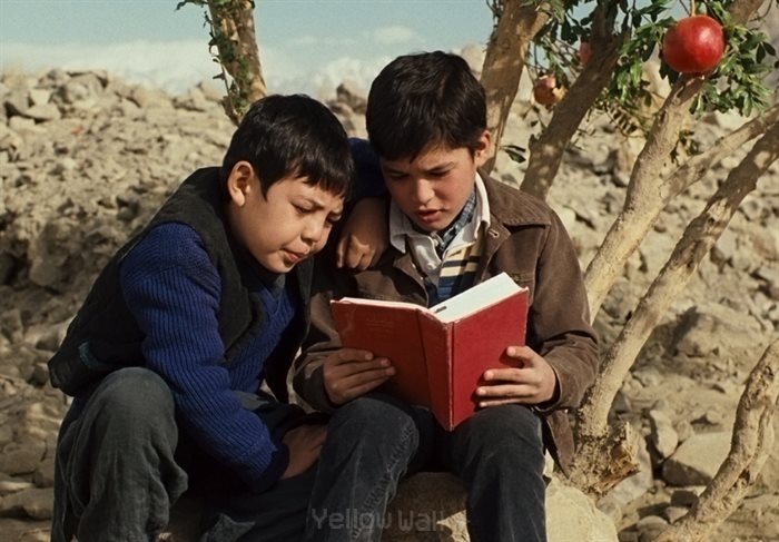 اقتباس سینمایی از رمان های مشهور: بادبادک باز ساخته مارک فورستر